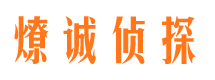 樟树市调查公司